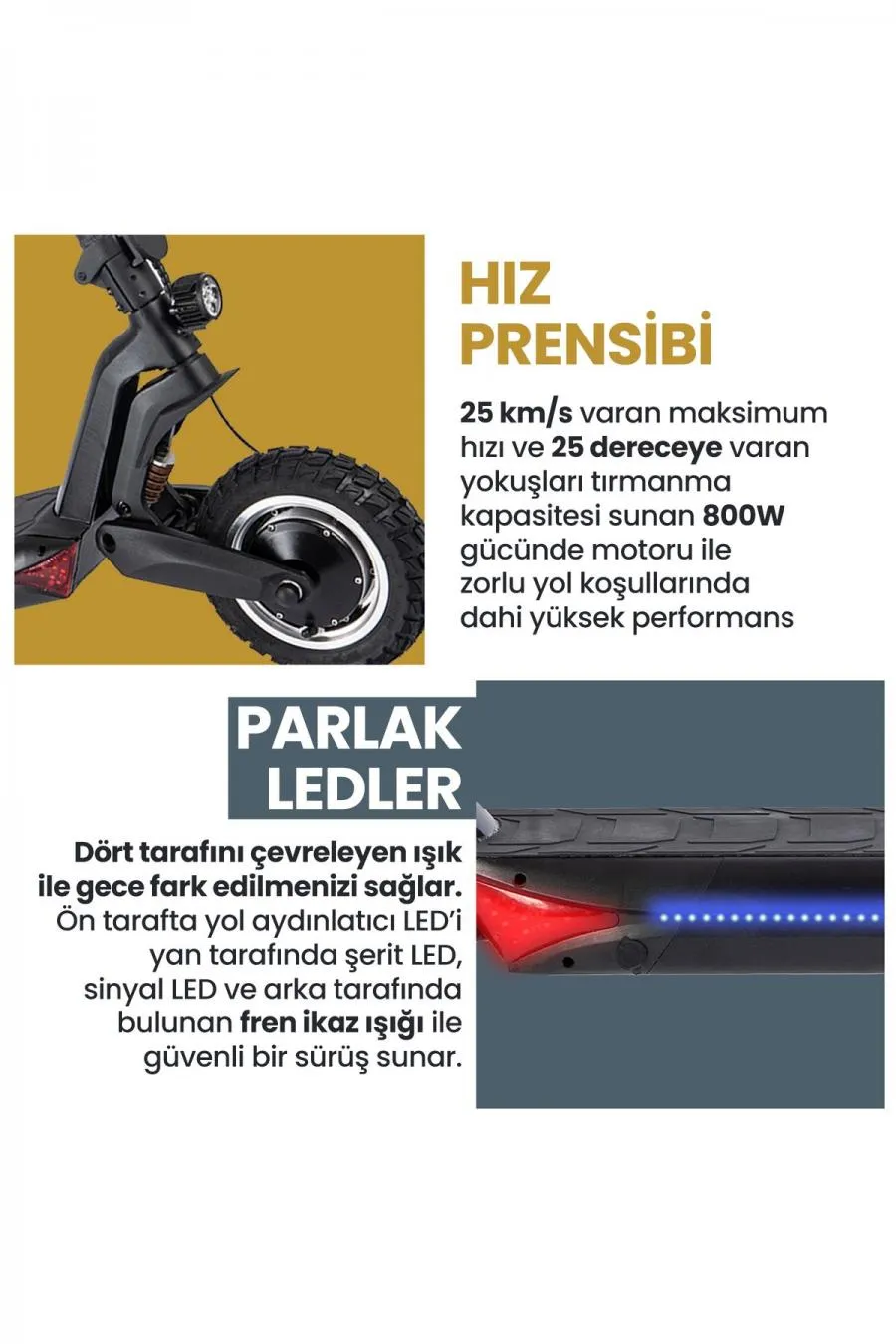 Safari 800W Çift Süspansiyonlu Elektrikli Scooter - siyah