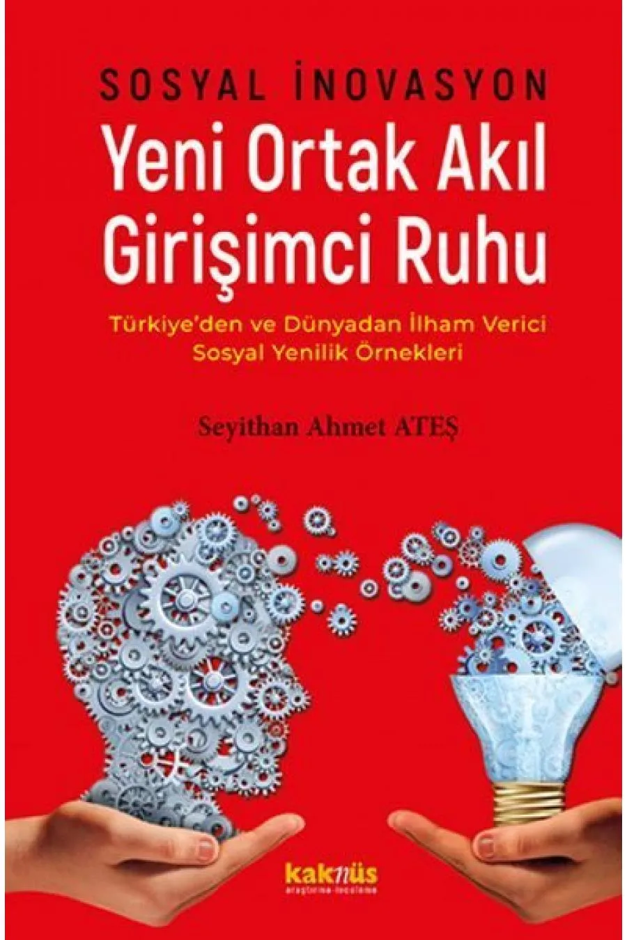 Sosyal İnovasyon Yeni Ortak Akıl Girişimci Ruhu  (4022)