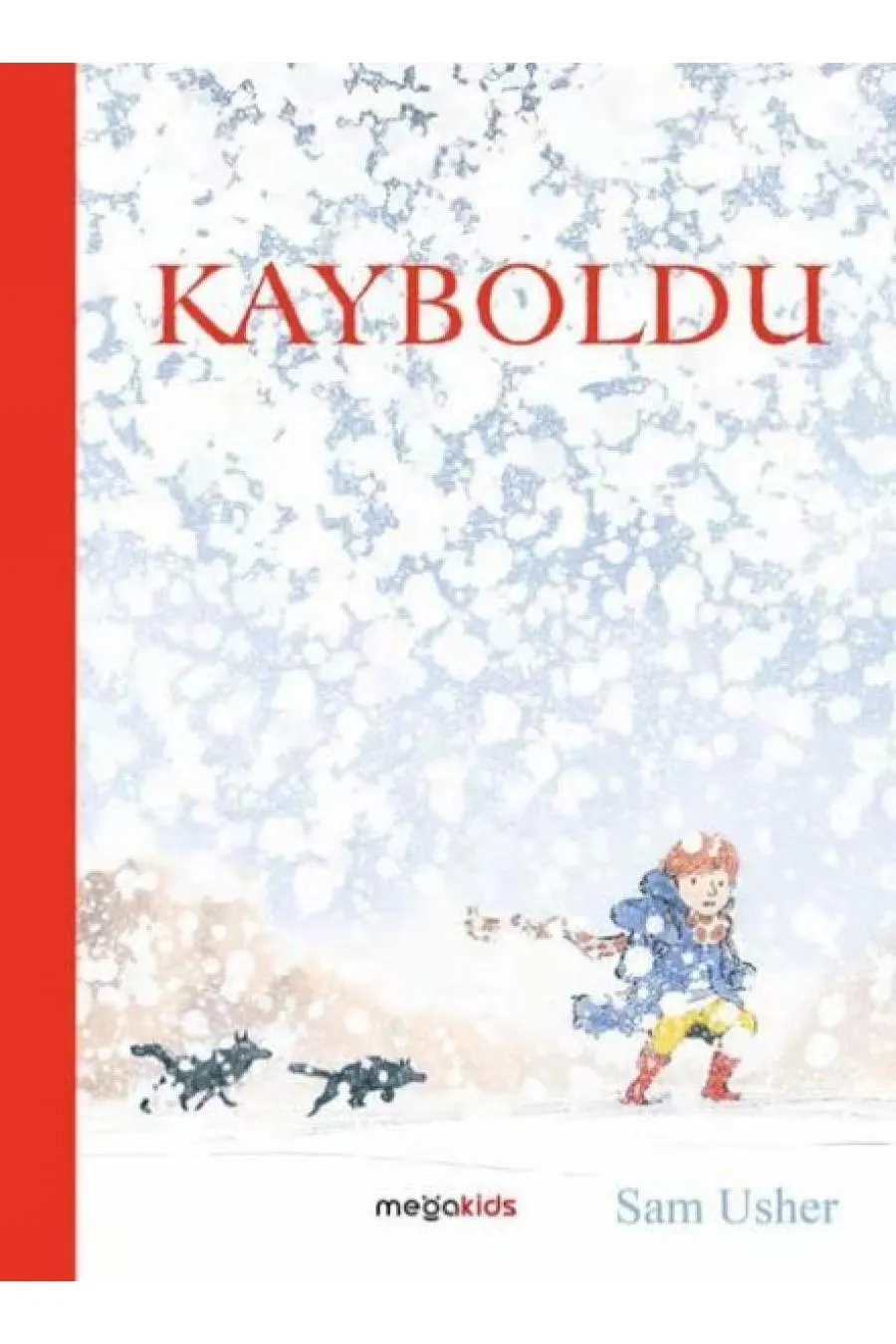 Kayboldu  (4022)