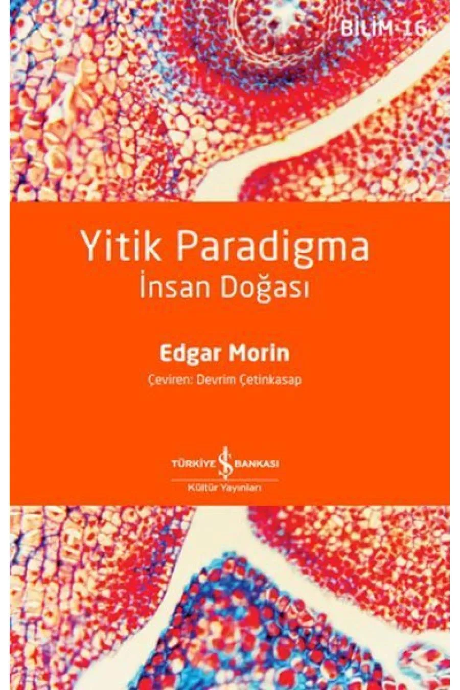 Yitik Paradigma: İnsan Doğası  (4022)