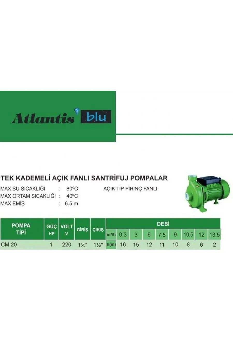 Atlantis CM20 1 HP Tek Kademeli Santrifuj Pompa