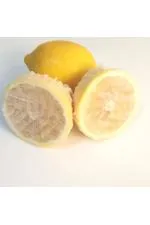 Limon Bonesi / 250 Adet / Bitki Çayı Bonesi