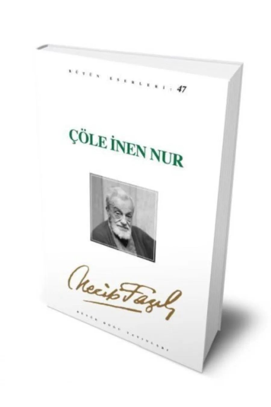 Çöle İnen Nur  (4022)