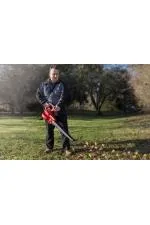 Einhell GC-EL 3000 E Yaprak Toplama Üfleme M nesi