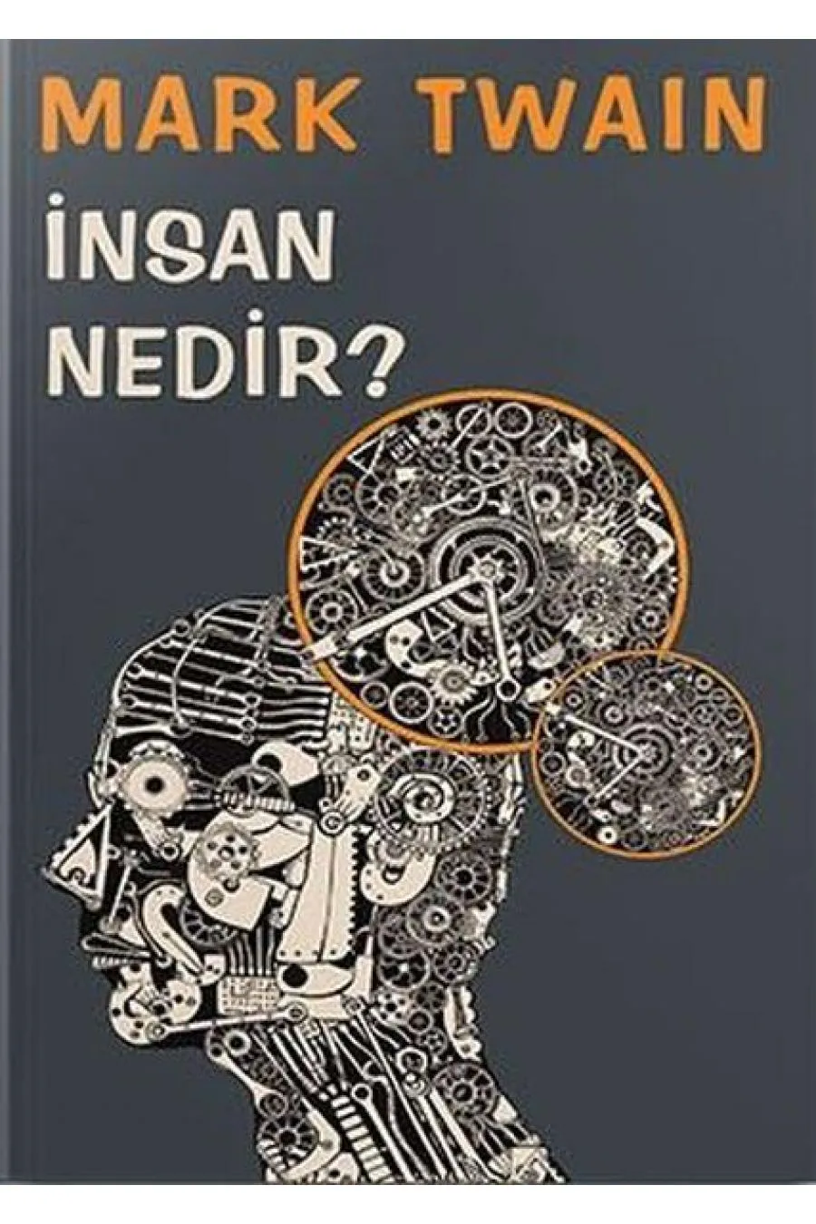 İnsan Nedir?  (4022)