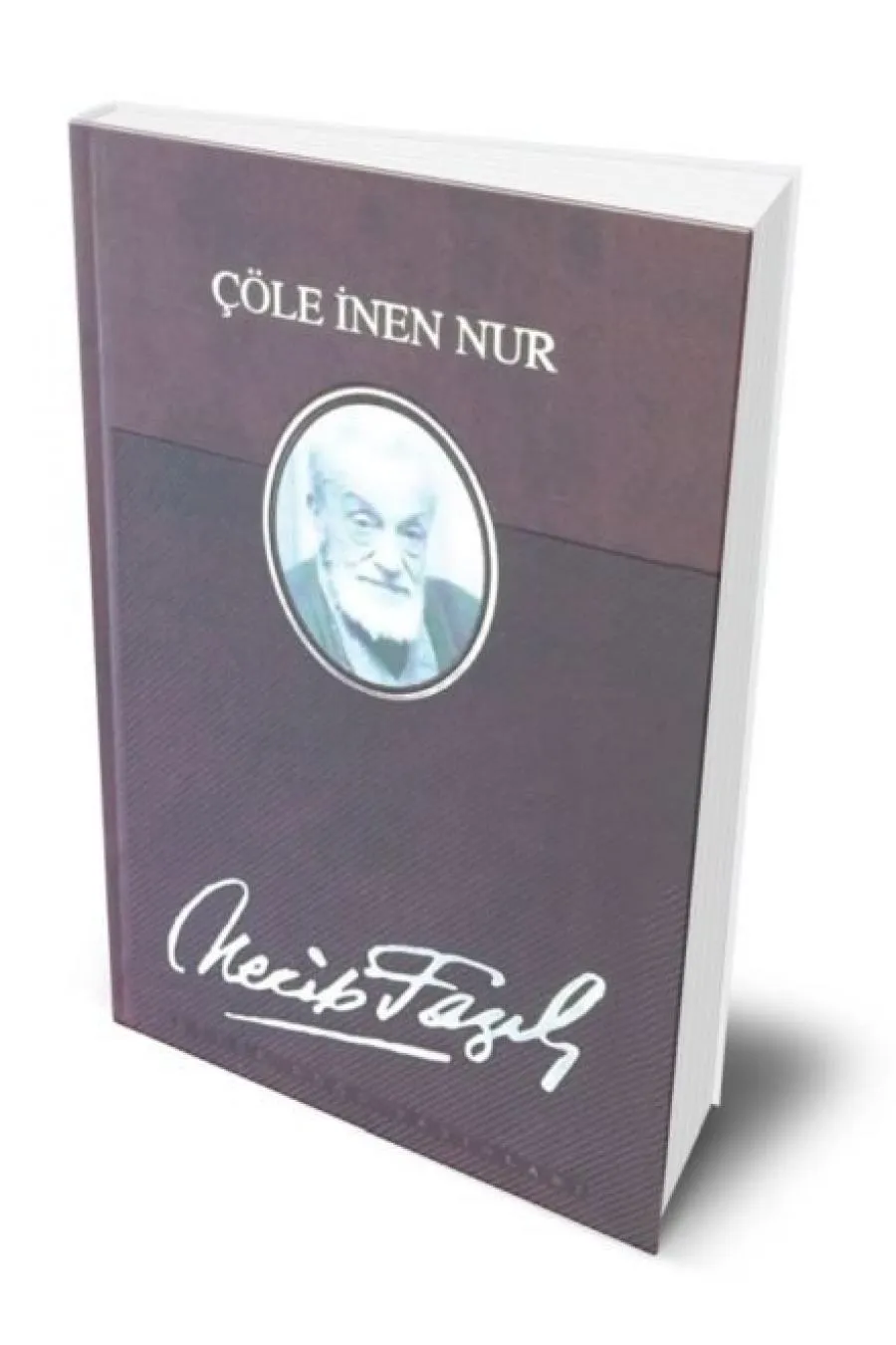 Çöle İnen Nur (Deri Ciltli)  (4022)