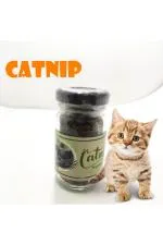 Catnip Doğal Kedi Otu - Kedi Nanesi