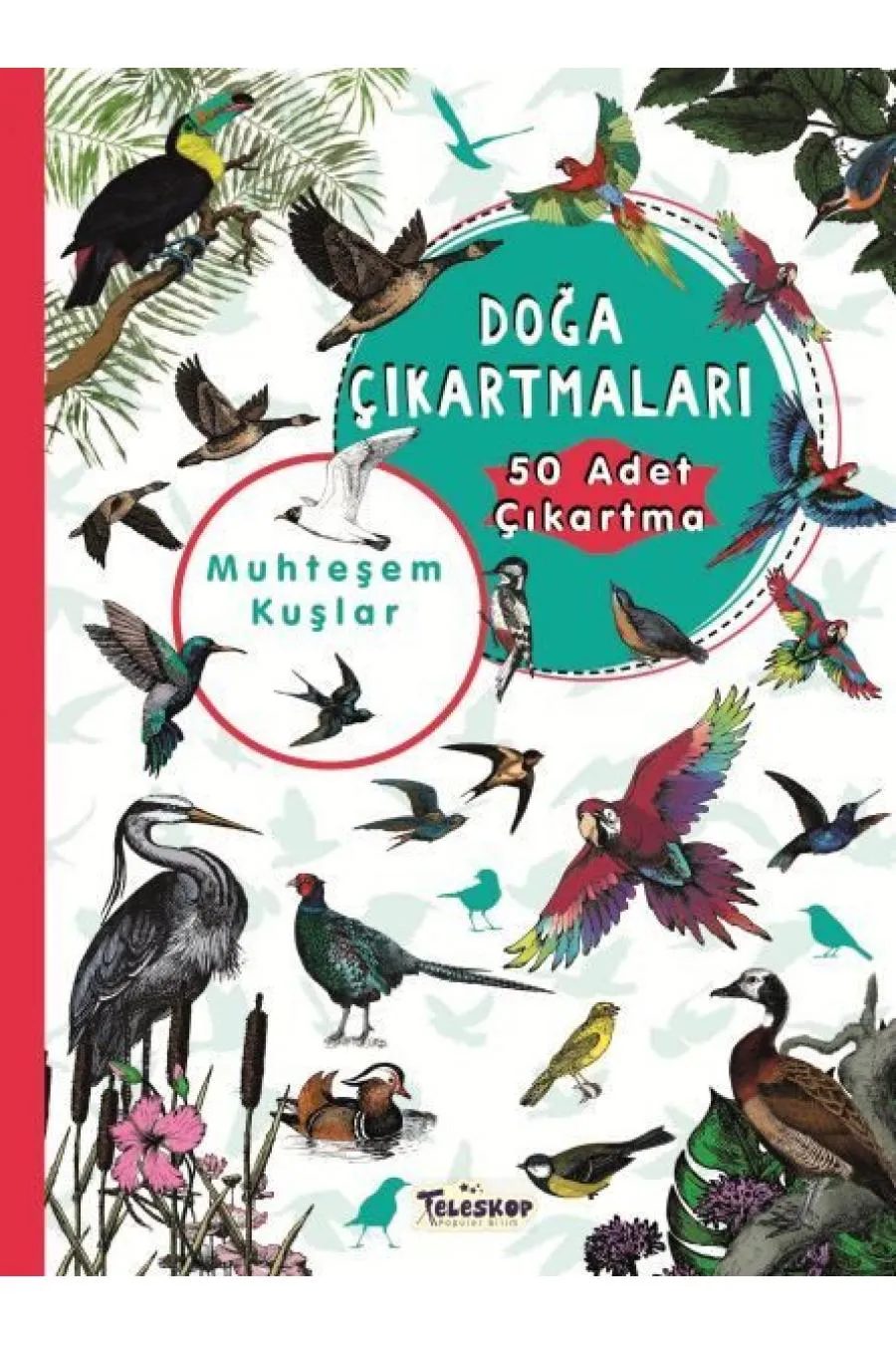 Muhteşem Kuşlar - Doğa Çıkartmaları  (4022)